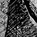 Patricia Towers Photo 11