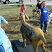 Debbie Parham Photo 17