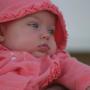 Teresa Mcclain Photo 35
