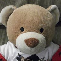 Henry Harvey Photo 32