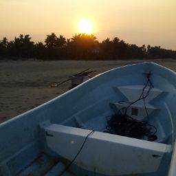 Robert Carmona Photo 38