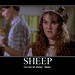 Sara Rue Photo 30