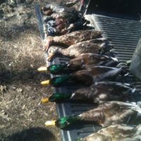 Jeremy Robison Photo 12