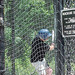 Paul Weir Photo 32