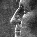 George Stack Photo 10