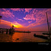 Sun Lim Photo 11