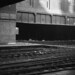 Michael Snowhill Photo 3