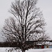 Virginia Hodgdon Photo 4