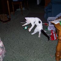 Merrill Ruth Photo 5