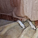 Susan Burger Photo 26