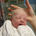 Kristin Ross Photo 12