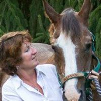 Linda Seabrook Photo 6