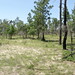 Roy Larsen Photo 12