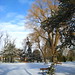 Edward Winters Photo 33