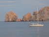 Debra Wood Photo 17