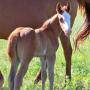 Glenda Scott Photo 26
