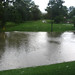 Debra Patterson Photo 40