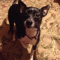 Cheryl Nobles Photo 24