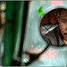 Don Driver Photo 19