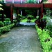Dan Kantor Photo 6