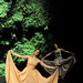 Julie Damiano Photo 9