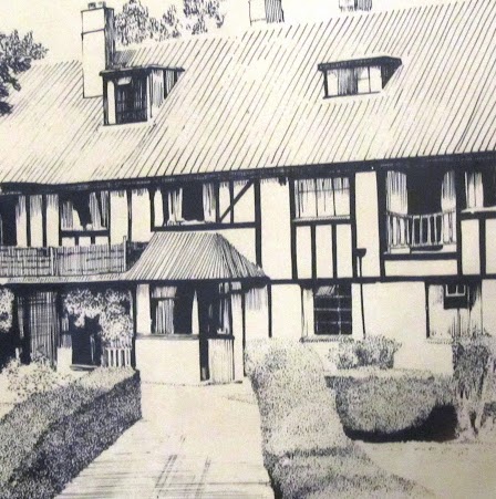 Ann Saunders Photo 9