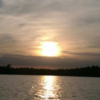 Connie Holland Photo 40