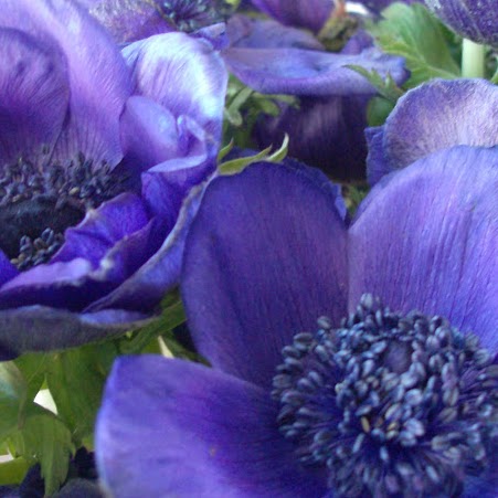 Mary Mackie Photo 33