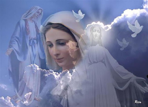 Maher Hanna Photo 18