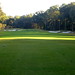Hilton Jones Photo 9