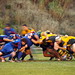 Manuel Salgado Photo 8