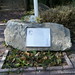 Theresa Mcnamara Photo 16