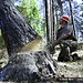 Robert Freeman Photo 40