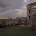 Peter Robins Photo 16