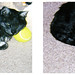 Vicky Ball Photo 10