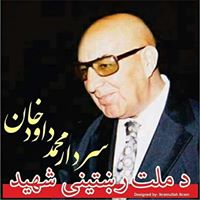 Shafiq Niazi Photo 7