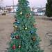 Carol Humphreys Photo 9