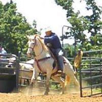 John Shelburne Photo 25