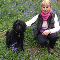 Susan Barnes Photo 27