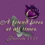 Susan Messer Photo 31
