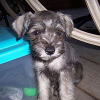 Susan Treadway Photo 25
