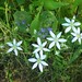 Connie Powers Photo 8