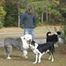 Steven Collie Photo 15