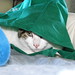 Victor Green Photo 36
