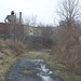 Paul Beebee Photo 8