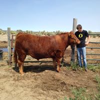 Holly Tidwell Photo 9