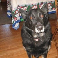 Joyce Pettit Photo 5