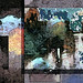 Theodore Riddle Photo 10