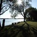 Steven Pennington Photo 14