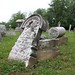 Rachel Graves Photo 18